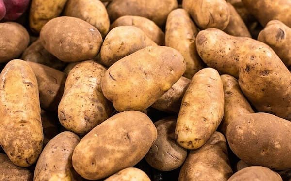 تصویر 4 از خرید و قیمت سیب زمینی پوست قهوه ای  + فروش عمده
